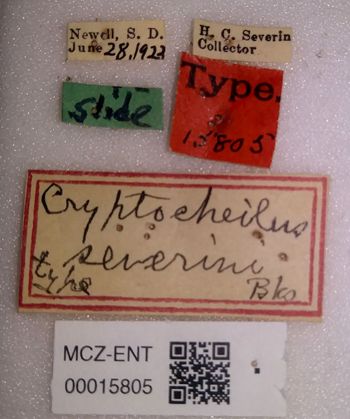 Media type: image;   Entomology 15805 Aspect: labels